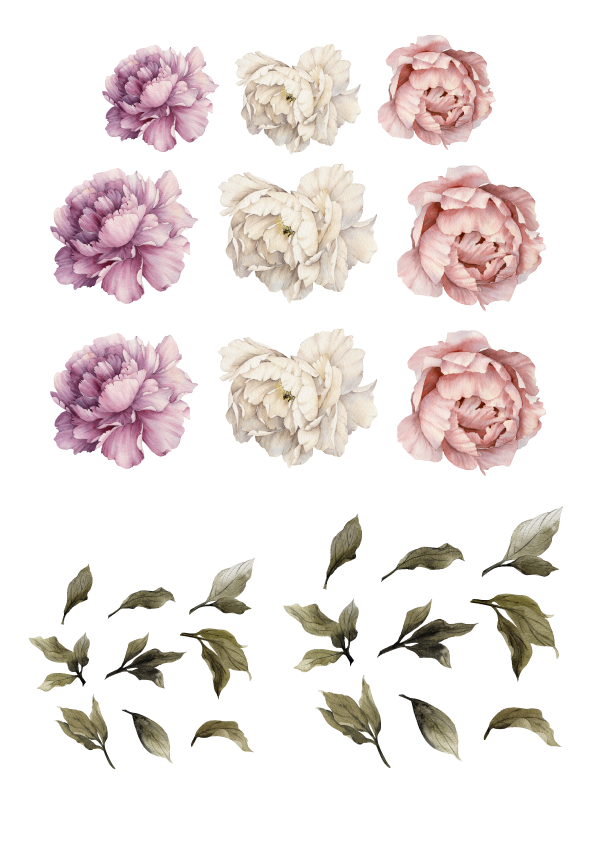 Watercolor Flowers peony pink and white removable wall decal 