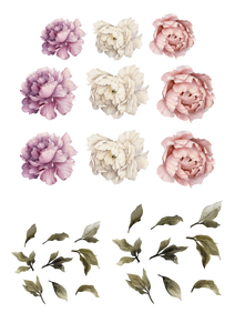 Watercolor Flowers peony pink and white removable wall decal 
