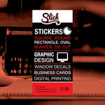 Load image into Gallery viewer, Flyers- DL

